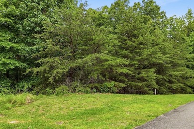 Welcome to this lovely 3-acre lot located in the highly - photo 9