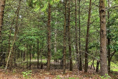 Welcome to this lovely 3-acre lot located in the highly - photo 10