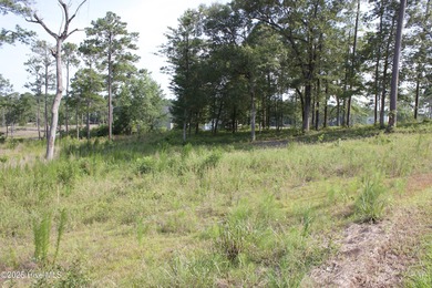 Large .85 acre water front lot in quite upscale neighborhood - photo 11