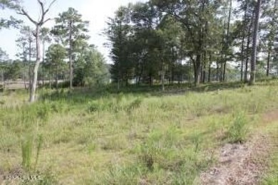 Large .85 acre water front lot in quite upscale neighborhood - photo 11
