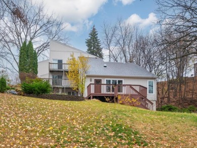 Lake Townhome/Townhouse For Sale in Buffalo, Minnesota