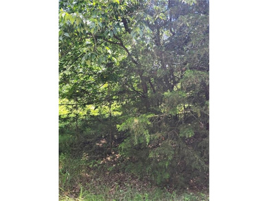 Don't miss this exceptional opportunity to own a beautiful lot - photo 2