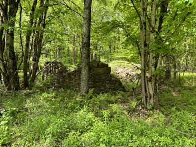 Wooded Camper or Cabin Site Near Oneida Lake - photo 12