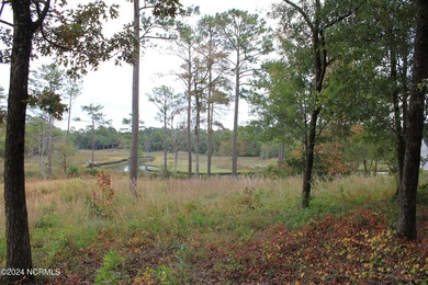 Large .85 acre water front lot in quite upscale neighborhood - photo 13