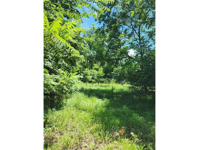 Don't miss this exceptional opportunity to own a beautiful lot - photo 3