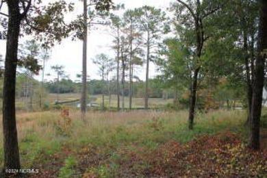 Large .85 acre water front lot in quite upscale neighborhood - photo 13