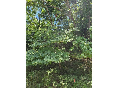 Don't miss this exceptional opportunity to own a beautiful lot - photo 4