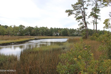 Large .85 acre water front lot in quite upscale neighborhood - photo 15