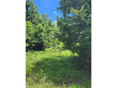 Don't miss this exceptional opportunity to own a beautiful lot - photo 5