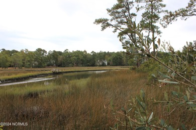 Large .85 acre water front lot in quite upscale neighborhood - photo 17