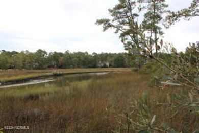 Large .85 acre water front lot in quite upscale neighborhood - photo 17