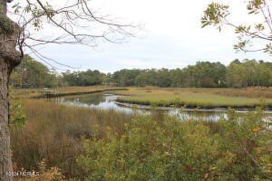 Large .85 acre water front lot in quite upscale neighborhood - photo 18