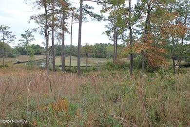 Large .85 acre water front lot in quite upscale neighborhood - photo 19