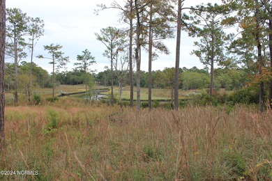 Large .85 acre water front lot in quite upscale neighborhood - photo 20