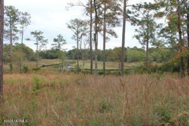 Large .85 acre water front lot in quite upscale neighborhood - photo 20