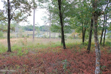 Large .85 acre water front lot in quite upscale neighborhood - photo 21