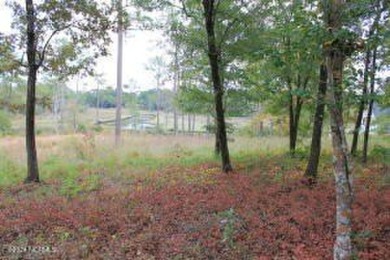 Large .85 acre water front lot in quite upscale neighborhood - photo 21