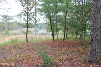 Large .85 acre water front lot in quite upscale neighborhood - photo 22