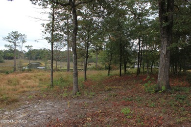 Large .85 acre water front lot in quite upscale neighborhood - photo 23