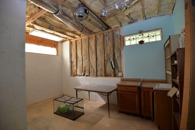 Big price reduction on two lots and potential 4 bedroom housee - photo 23