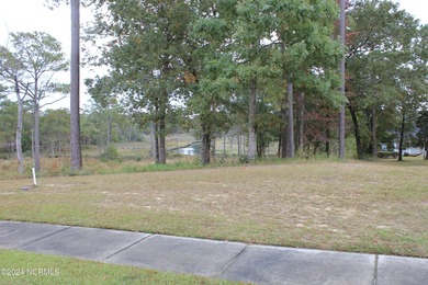 Large .85 acre water front lot in quite upscale neighborhood - photo 24