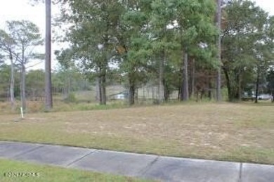 Large .85 acre water front lot in quite upscale neighborhood - photo 24