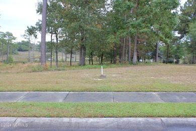 Large .85 acre water front lot in quite upscale neighborhood - photo 25