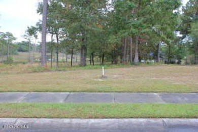 Large .85 acre water front lot in quite upscale neighborhood - photo 25