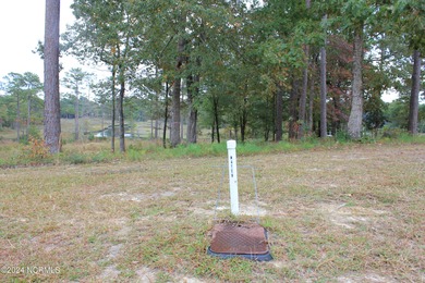 Large .85 acre water front lot in quite upscale neighborhood - photo 26
