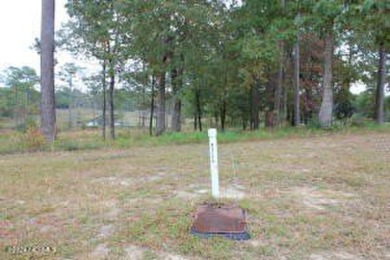 Large .85 acre water front lot in quite upscale neighborhood - photo 26