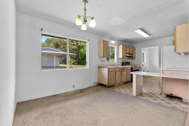 Opportunity meets flexibility in this unique HPP property - photo 8