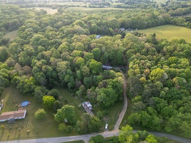 Discover 7.19 acres of peaceful East Tennessee countryside in - photo 4