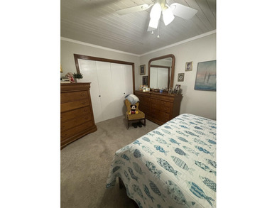 Beautiful home located in the heart of Fairfield Bay, close to - photo 10
