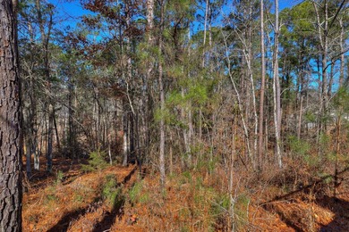 408 Reynard Place | Tara - Savannah Lakes Village, McCormick SC - photo 50
