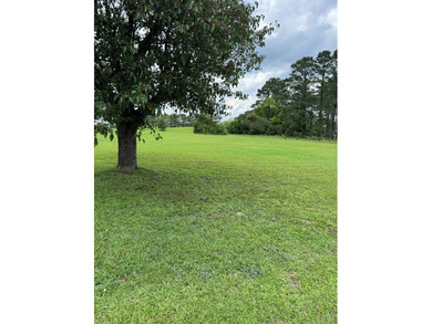 Nice lot across from the lake ready for you to build your dream - photo 1
