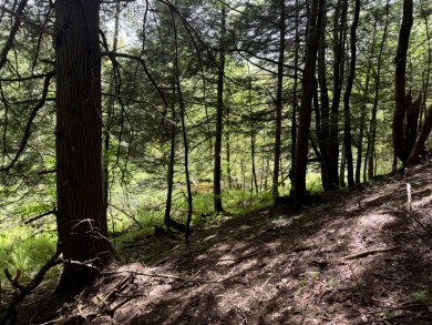 Wooded Camper or Cabin Site Near Oneida Lake - photo 14