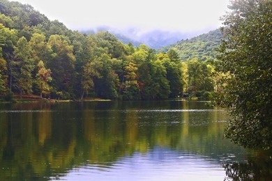 (private lake, pond, coastal) Lot For Sale in Blairsville Georgia
