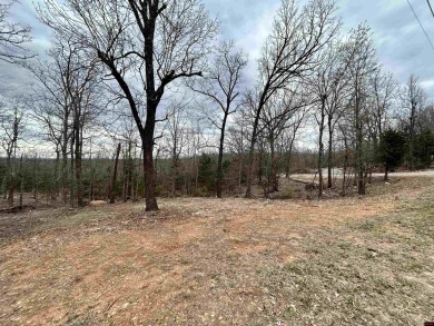 Lake Lot For Sale in Mountain Home, Arkansas