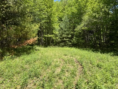 Wooded Camper or Cabin Site Near Oneida Lake - photo 15