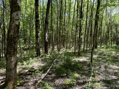 Wooded Camper or Cabin Site Near Oneida Lake - photo 13
