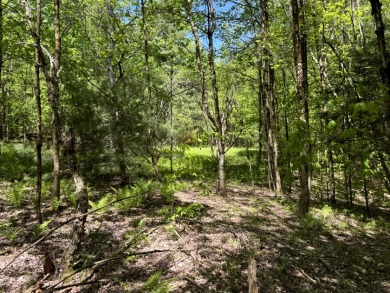 Wooded Camper or Cabin Site Near Oneida Lake - photo 8