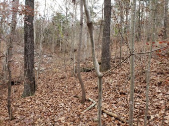 Lake Lot Off Market in South Pittsburg, Tennessee