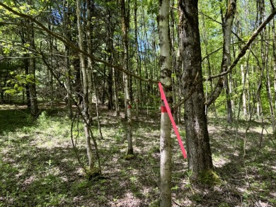 Wooded Camper or Cabin Site Near Oneida Lake - photo 16