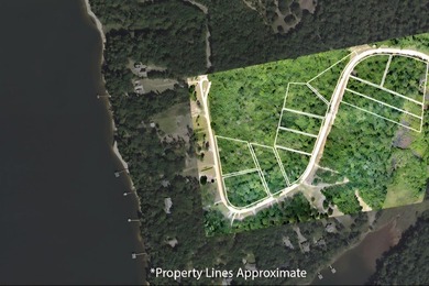 Drive into Mossy Oak Subdivision beneath beautiful pecan trees - photo 3