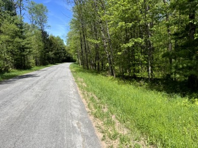 Wooded Camper or Cabin Site Near Oneida Lake - photo 10