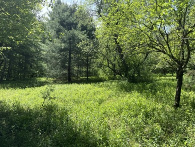 Wooded Camper or Cabin Site Near Oneida Lake - photo 3