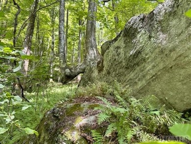 Nestled in the captivating valley between The Divide and The - photo 39