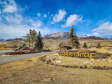 (private lake, pond, creek) Acreage For Sale in Cody Wyoming