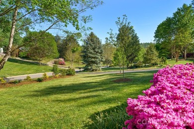 Tucked away among beautiful blooming perennials in Asheville's - photo 47