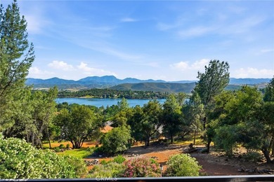 Experience elevated lakeview living in this beautifully upgraded - photo 49